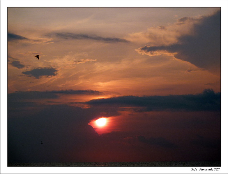 2011 - 08 - Redang 26